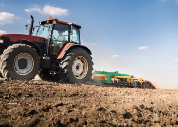 Прокуроры вернули неиспользуемые земли в государственную собственность