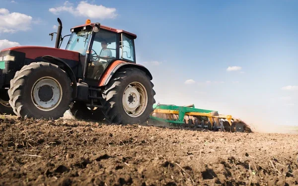 Прокуроры вернули неиспользуемые земли в государственную собственность