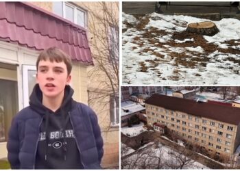 Скандал с вырубкой деревьев у детдома в Баганашыле: Власти объяснили ситуацию