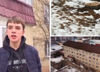 Бағанашылдағы балалар үйінің жанындағы ағаштарды кесуге қатысты: Билік мән-жайды түсіндірді