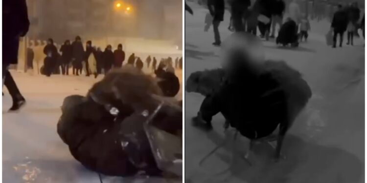 Мужчина, заставивший барана кататься с горки на санках в Актау, извинился в полиции