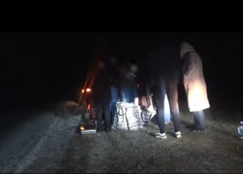 Талдыкорғанда 1,6 млрд теңге жымқырған шенеуніктер сотталды