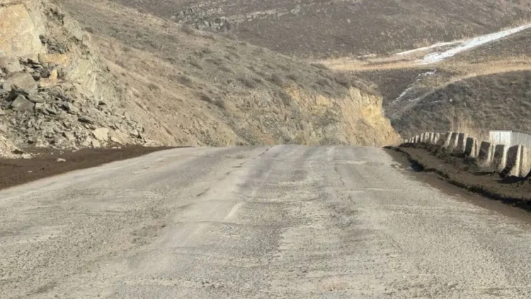 Жамбыл облысында 57 шенеунік сапасыз жолдар үшін жауапқа тартылды