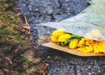 Казахстан накроет туман: прогноз погоды на 17 марта