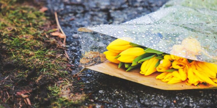 Казахстан накроет туман: прогноз погоды на 17 марта