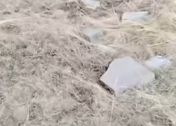 Алматы облысында зиратты бүлдірген вандал ұсталды