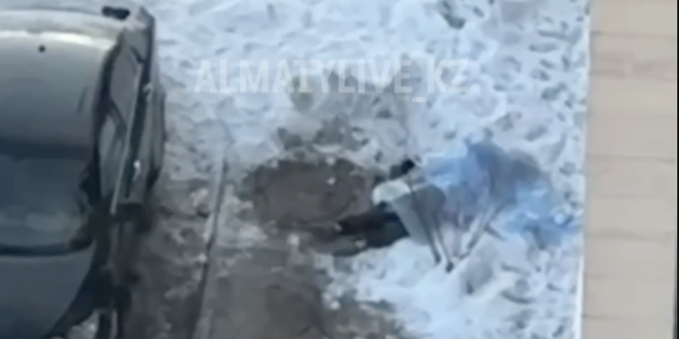 Трагедия в Алматы: девушка найдена мертвой во дворе ЖК «Комфорт Сити»