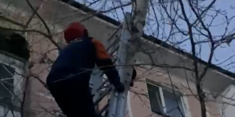 Операция по спасению кошки прошла в Астане