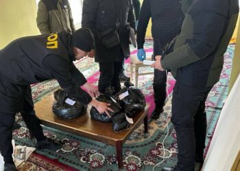 8 кг гашиша изъяли у местного жителя в Рудном