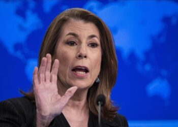 АҚШ-тың Украинадағы елшісі отставкаға кетті