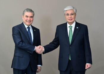 Казахстан поможет Туркменистану в цифровизации госуслуг