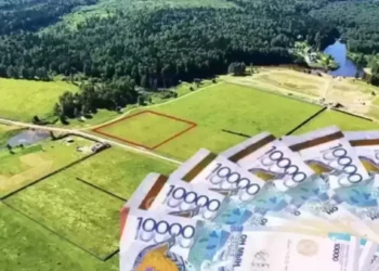 Алматы облысында пайдаланылмай жатқан жерлер мемлекетке қайтарылды