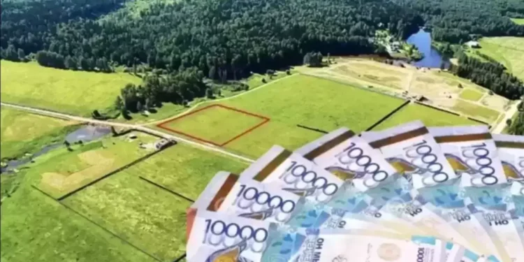 Алматы облысында пайдаланылмай жатқан жерлер мемлекетке қайтарылды