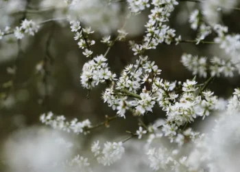 Казахстан ждет резкое похолодание в конце апреля