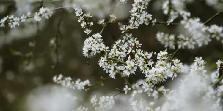 Казахстан ждет резкое похолодание в конце апреля