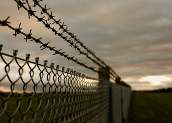 Заключенного убили в области Абай