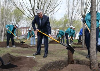 Токаев посадил дерево в столичном парке «Жастар»