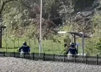 Алматыда полиция қызметкерлерінен қашқан мопедші ұсталды