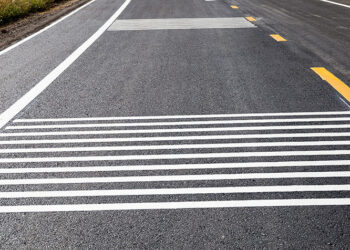 Шенеунік пен кәсіпкер алаяқтық үшін жазаға тартылды