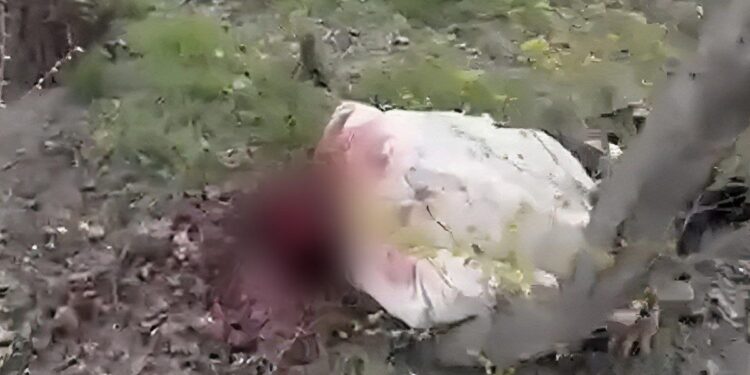 В Таразе недалеко от парка нашли тело мужчины с пробитой головой, погибший – бывший полицейский