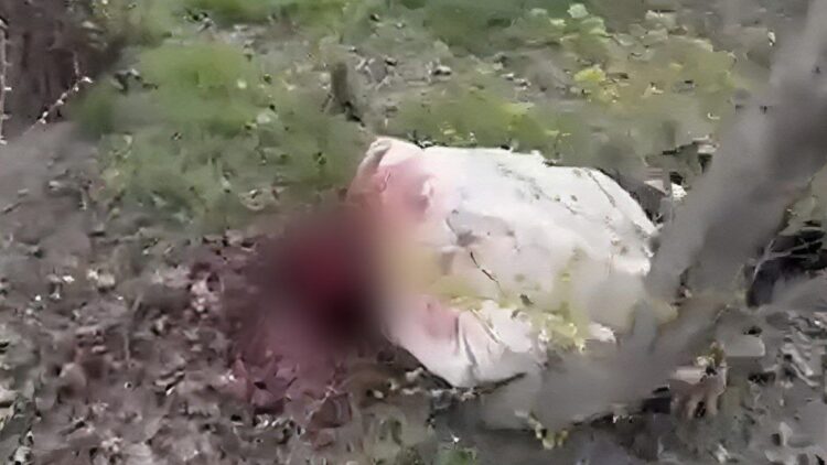 В Таразе недалеко от парка нашли тело мужчины с пробитой головой, погибший – бывший полицейский