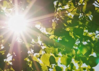 Елімізде 37 градусқа дейін ыстық күтілуде