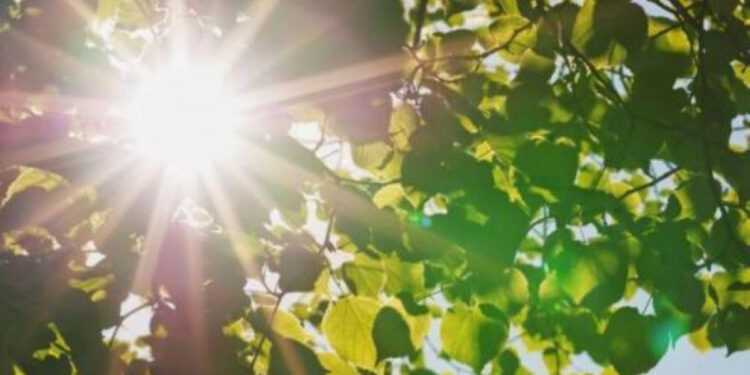 Елімізде 37 градусқа дейін ыстық күтілуде