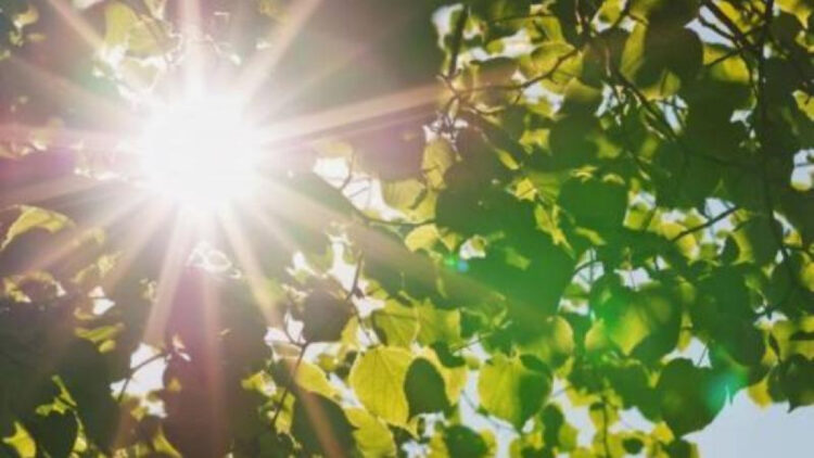 Елімізде 37 градусқа дейін ыстық күтілуде