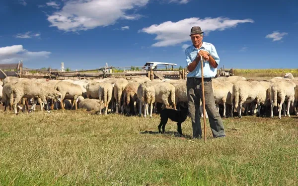 В Атырауской области 54-летний мужчина сбежал из трудового рабства