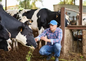 13 подпольных убойных цехов найдены в Казахстане за месяц