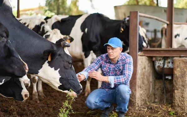 13 подпольных убойных цехов найдены в Казахстане за месяц