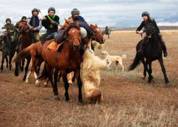 Кокпар на трассе Большого Алматинского канала: нарушителей оштрафовали