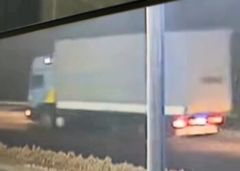 Киберполиция жылдам қимылдады: 30 млн теңгенің тауарын қайтарып берді