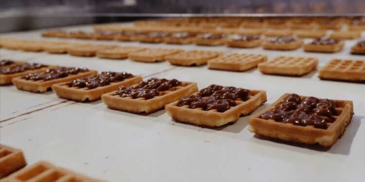 КДВ Қазақстан компаниясына тергеу басталды