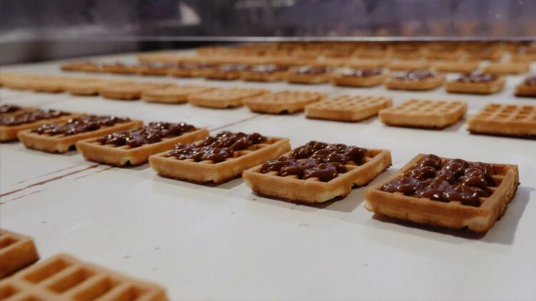 КДВ Қазақстан компаниясына тергеу басталды