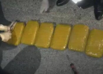 Жамбылда 34 келі гашиш тасығандар ұсталды