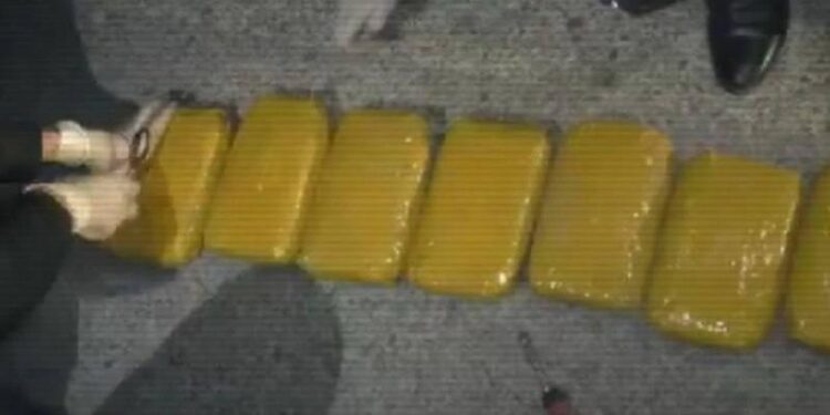 Жамбылда 34 келі гашиш тасығандар ұсталды