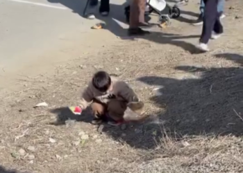 Токаев поблагодарил малыша за чистоту после Наурыза