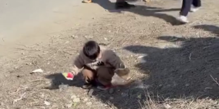 Токаев поблагодарил малыша за чистоту после Наурыза