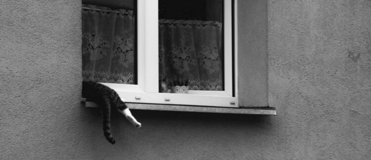 Опасная игра у окна в Астане — женщина предотвратила трагедию