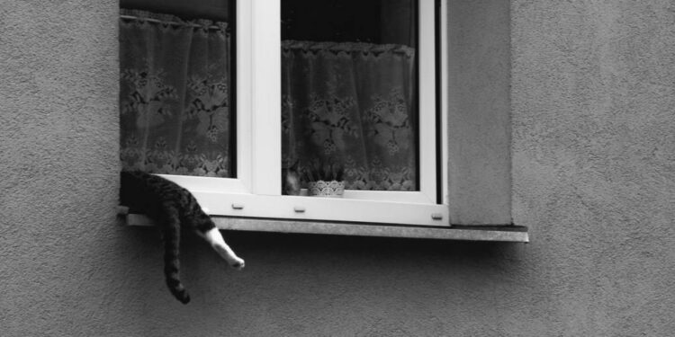 Опасная игра у окна в Астане — женщина предотвратила трагедию