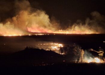 В Акмолинской области спасатели шесть часов тушили масштабный пожар