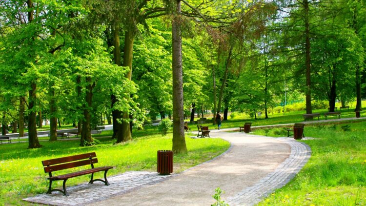 Тараздағы саябақтан ер адамның мәйіті табылды