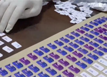 6 SIM-боксов найдены в квартире у иностранцев в Алматы: подозреваемых задержали