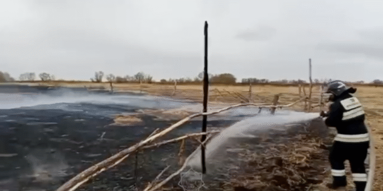 В Восточном Казахстане у фермера сгорело 150 тонн сена