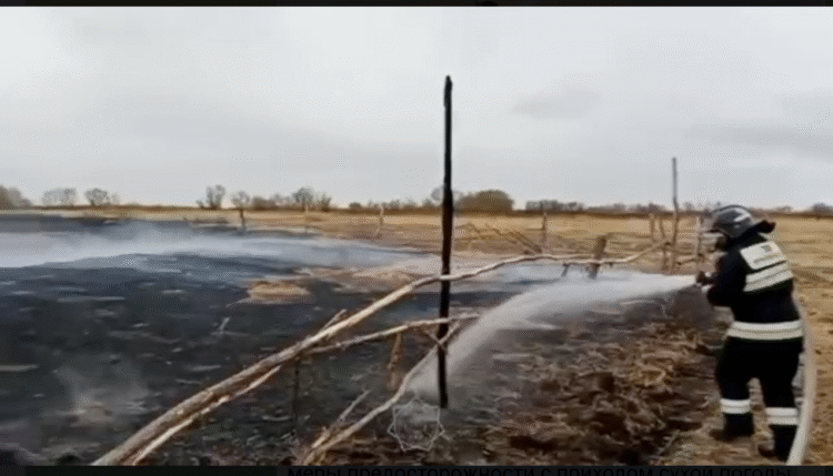 В Восточном Казахстане у фермера сгорело 150 тонн сена