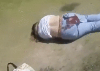 В США 20-летний мужчина устроил стрельбу в университете