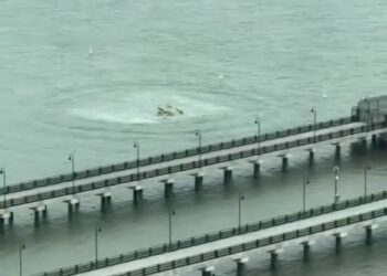 АҚШ-та Siemens өкілдігінің басшысы отбасымен бірге қаза тапты