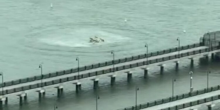 АҚШ-та Siemens өкілдігінің басшысы отбасымен бірге қаза тапты