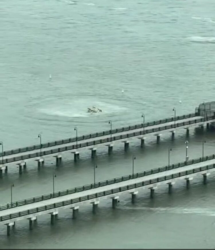 АҚШ-та Siemens өкілдігінің басшысы отбасымен бірге қаза тапты